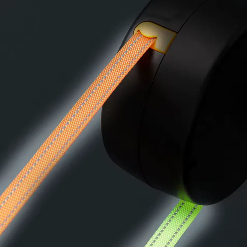 Paw Paradise™ Duo Anti-Tangle Leash with LED Light